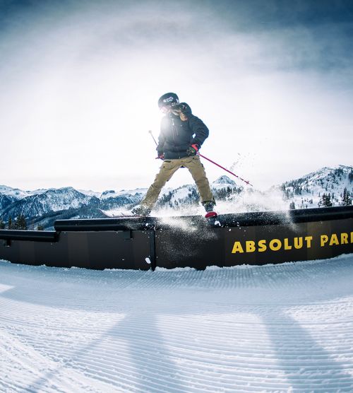 Absolut Park Shuttleberg